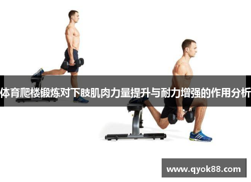 体育爬楼锻炼对下肢肌肉力量提升与耐力增强的作用分析