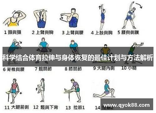 科学结合体育拉伸与身体恢复的最佳计划与方法解析