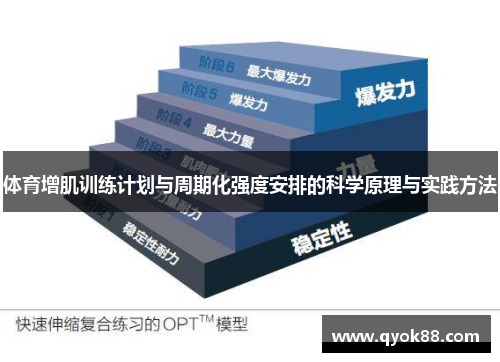 体育增肌训练计划与周期化强度安排的科学原理与实践方法
